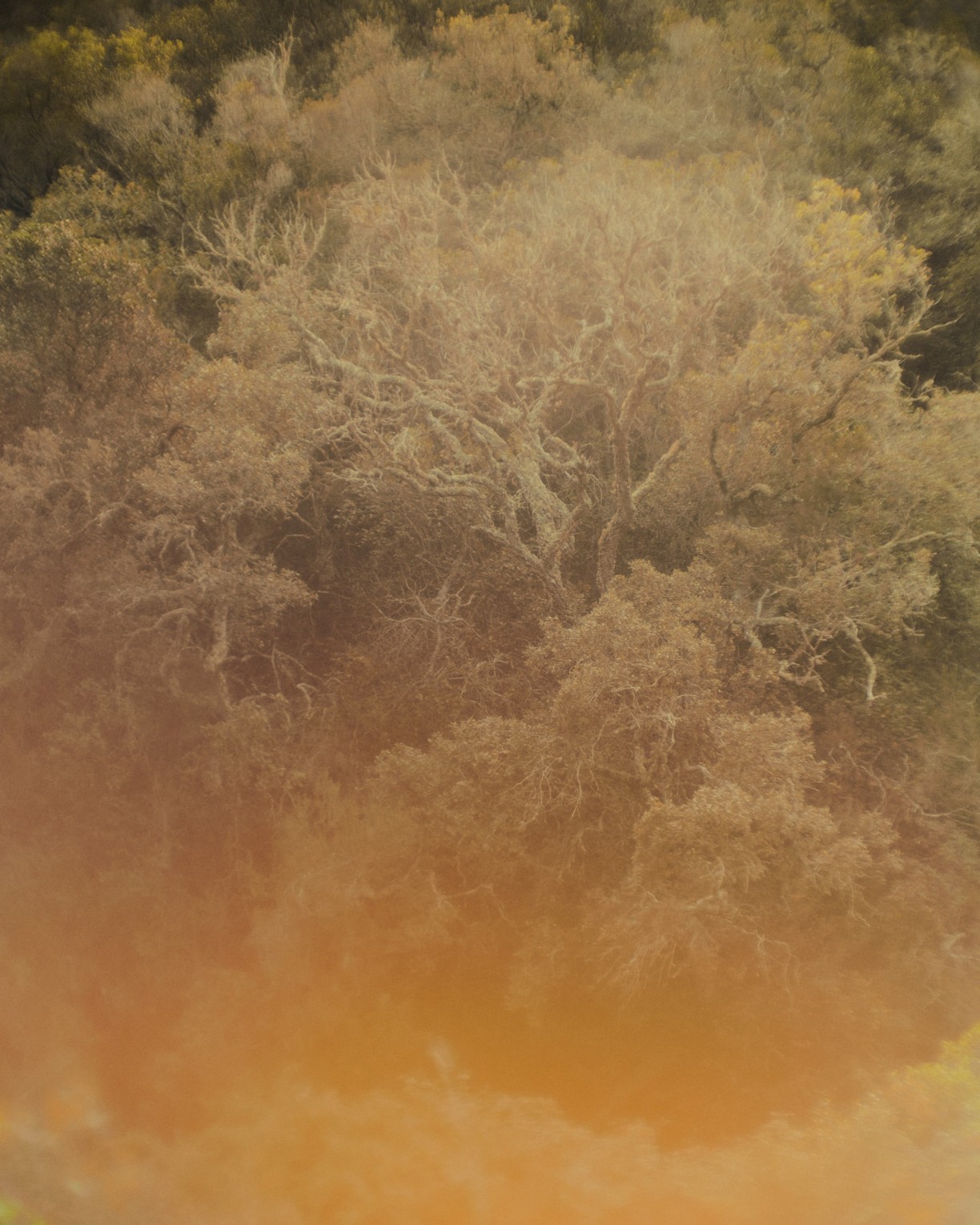 algarve-portugal_fanny-de-gouville