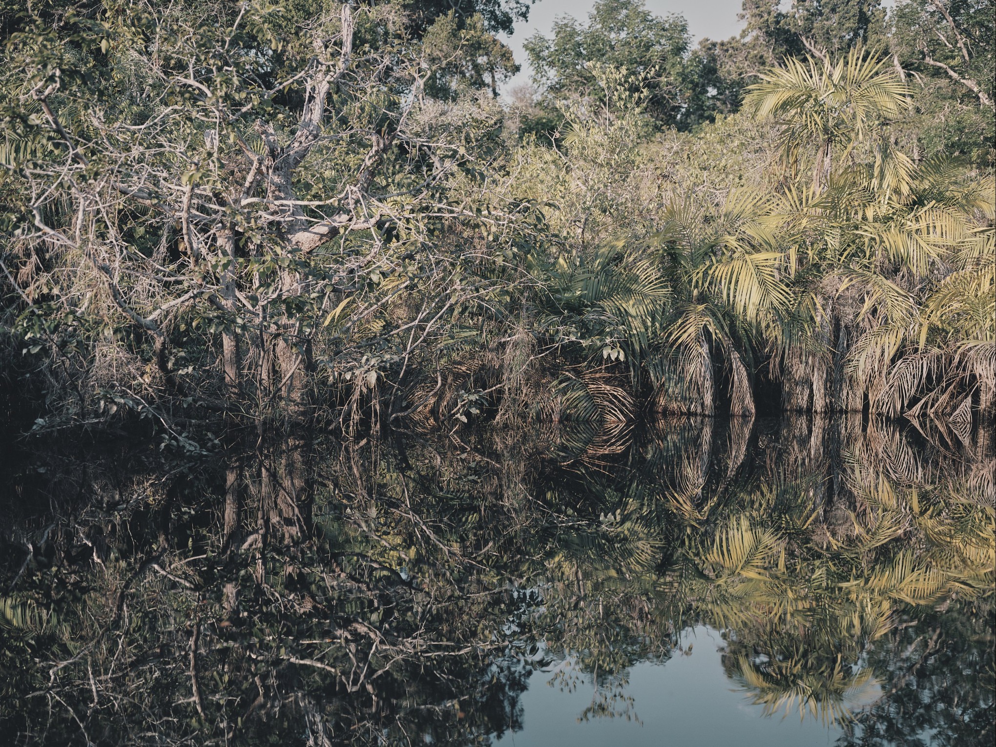 arapiuns-amazonie_roberto-frankenberg