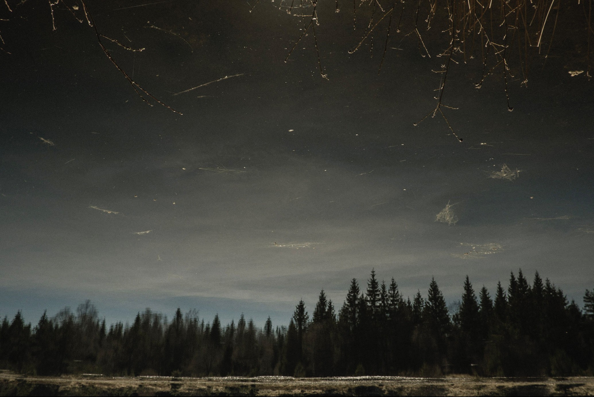 a-marqued-sky_laura-stevens