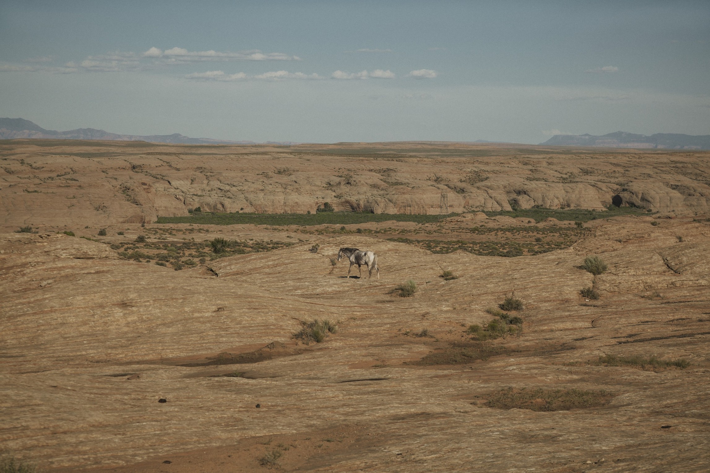 a-quiet-crossing_laura-stevens