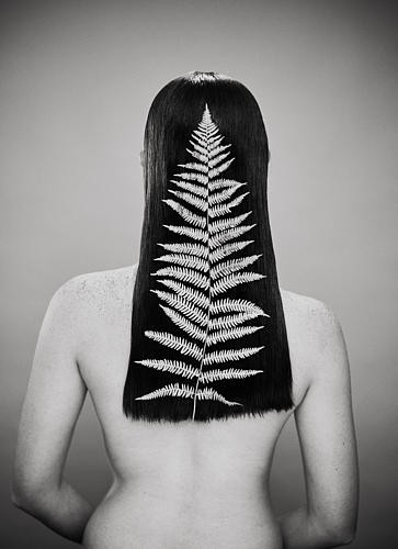 beaute-fougere_patrick-swirc