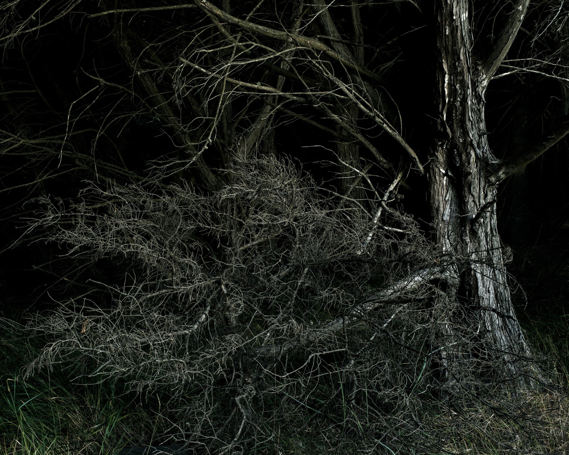 cote-sauvage-ile-d-yeu_rudy-waks