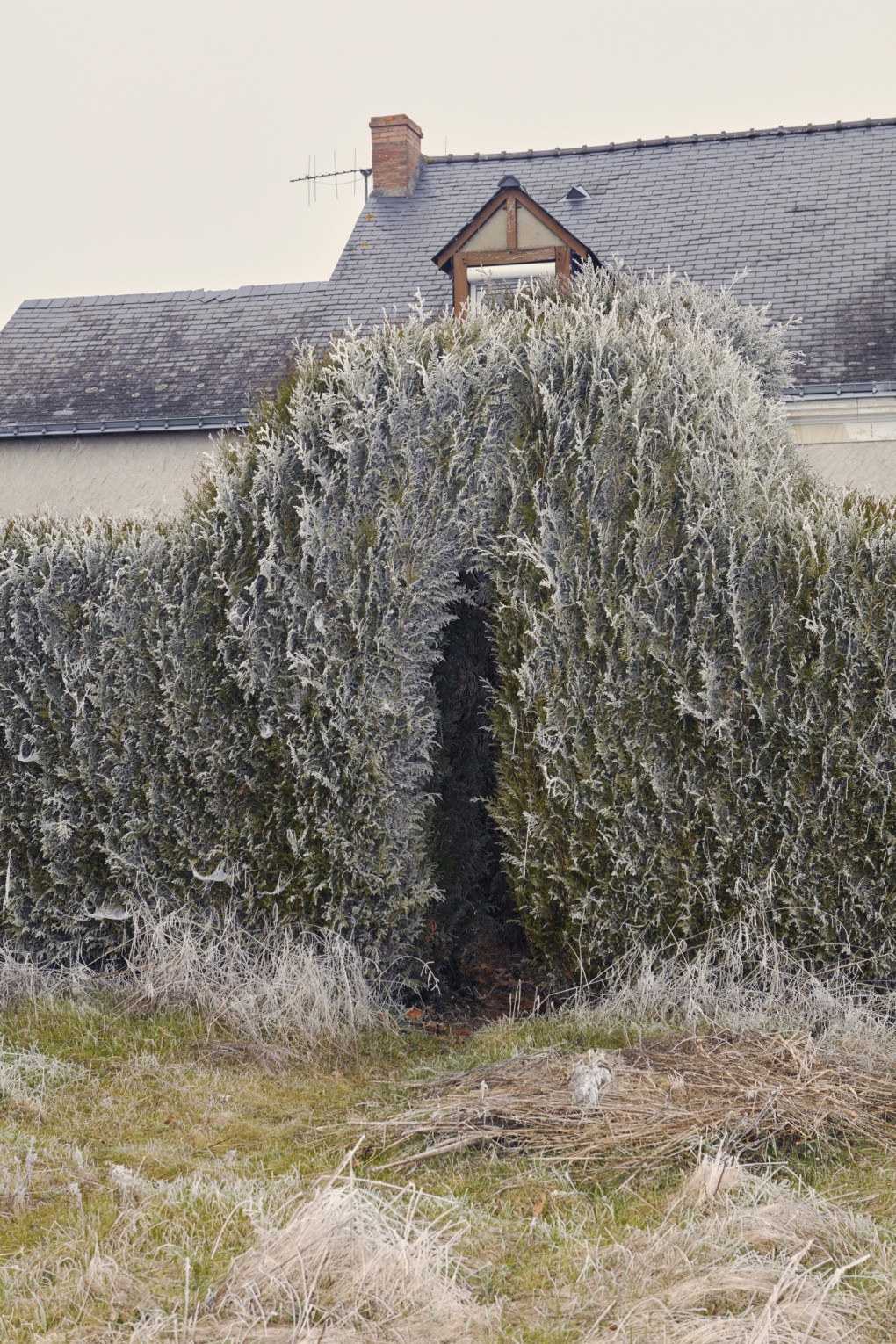 milky-way-series-paris_vincent-ferrane