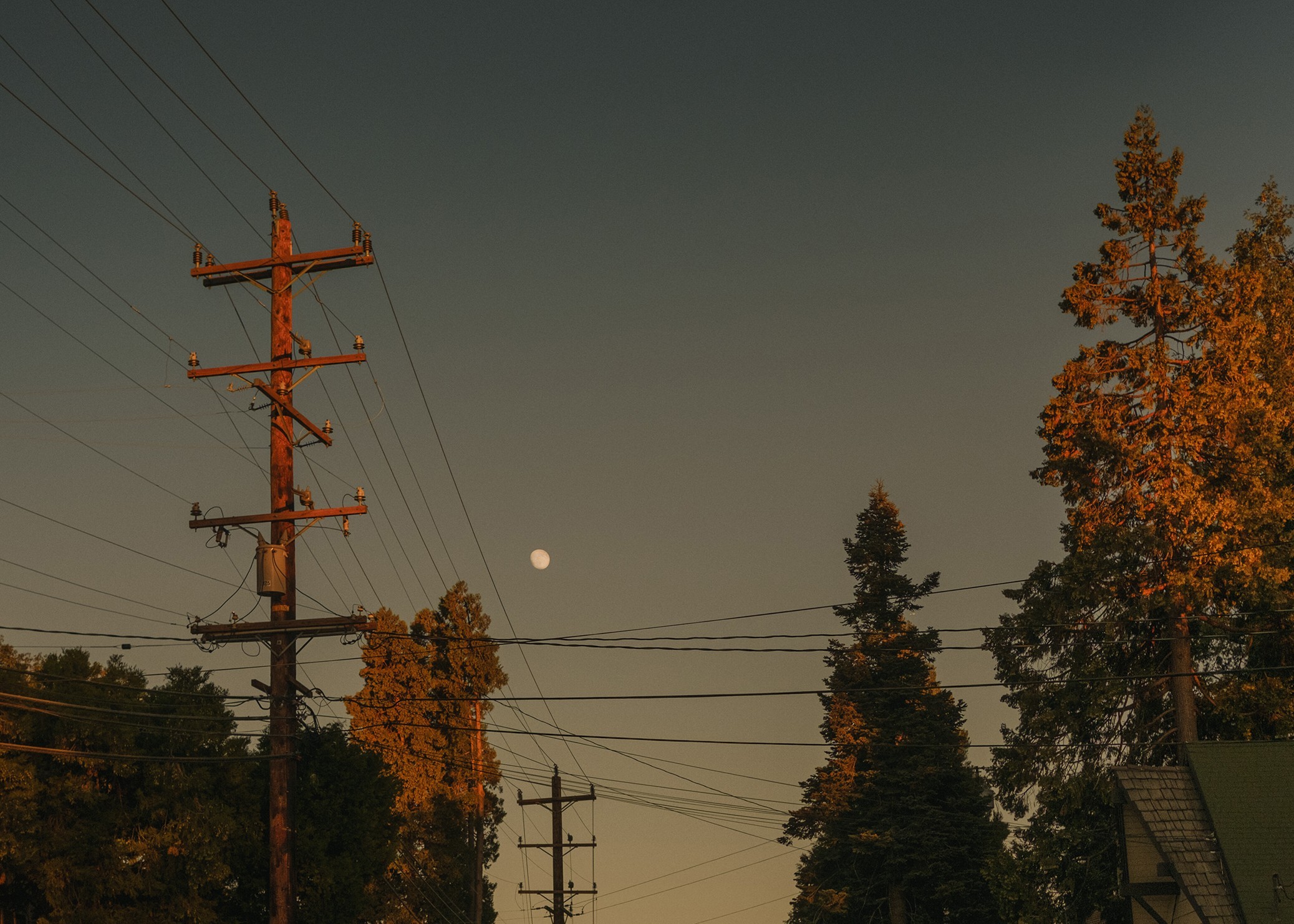 held-between_laura-stevens