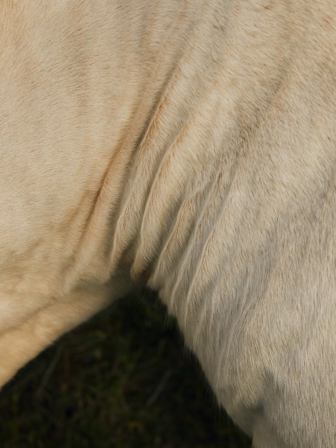 laura-a-porz-melloc-ile-de-batz-finistere-nord-bretagne_roberto-frankenberg