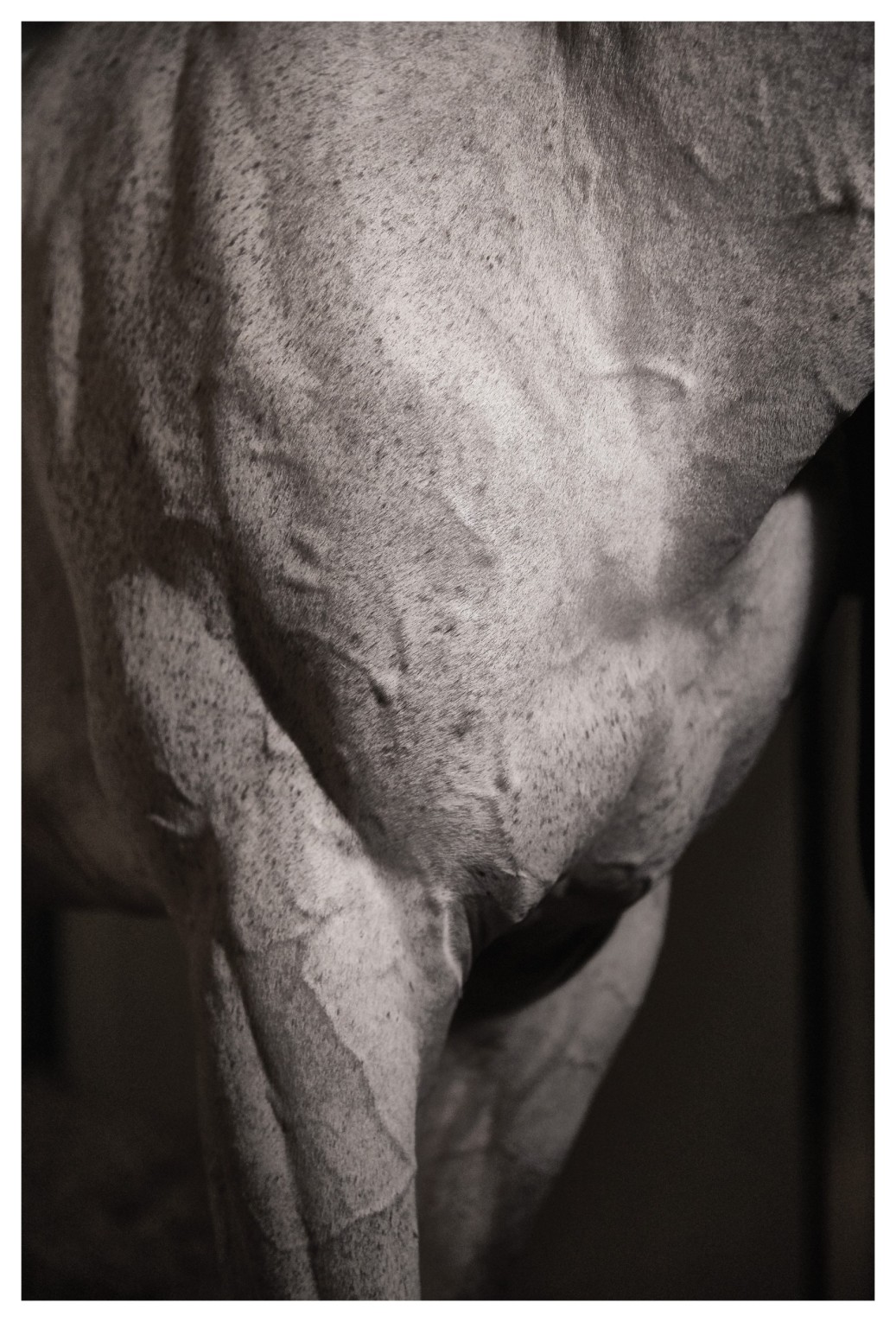 le-grand-saut_olivier-metzger