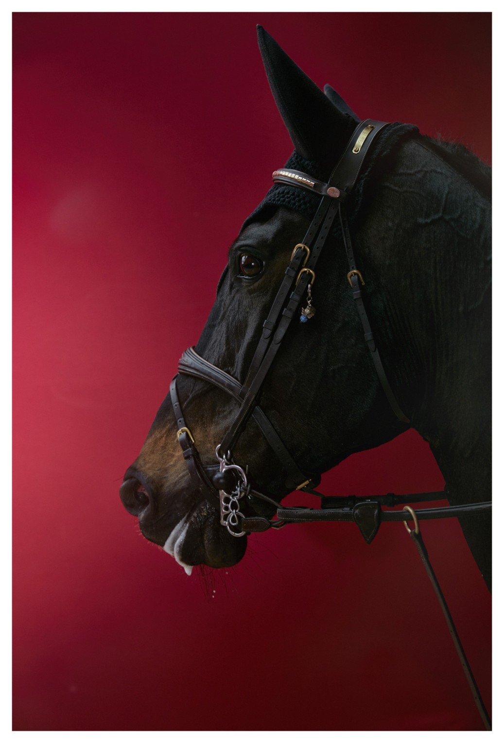 le-grand-saut_olivier-metzger