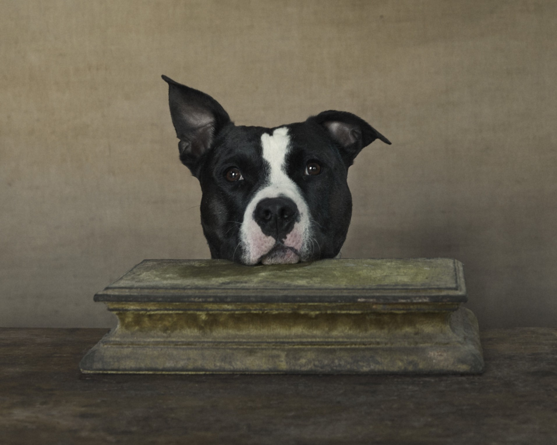 mes-tresors-mes-merveilles_patrick-swirc