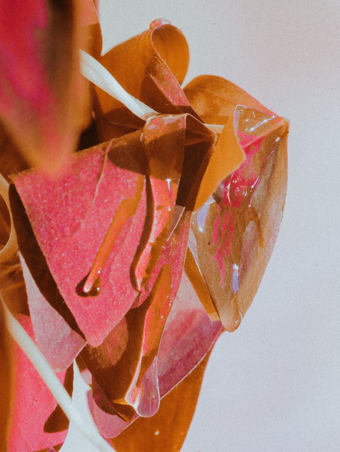 mise-en-pieces_lucile-boiron