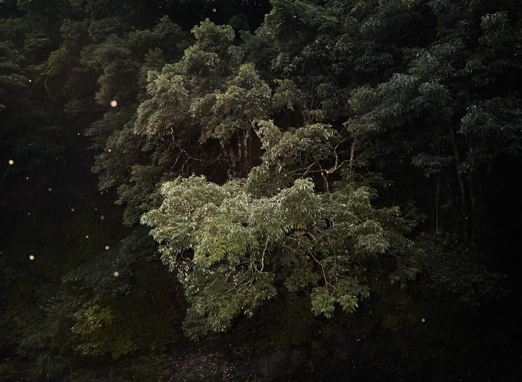 nightshot_olivier-metzger