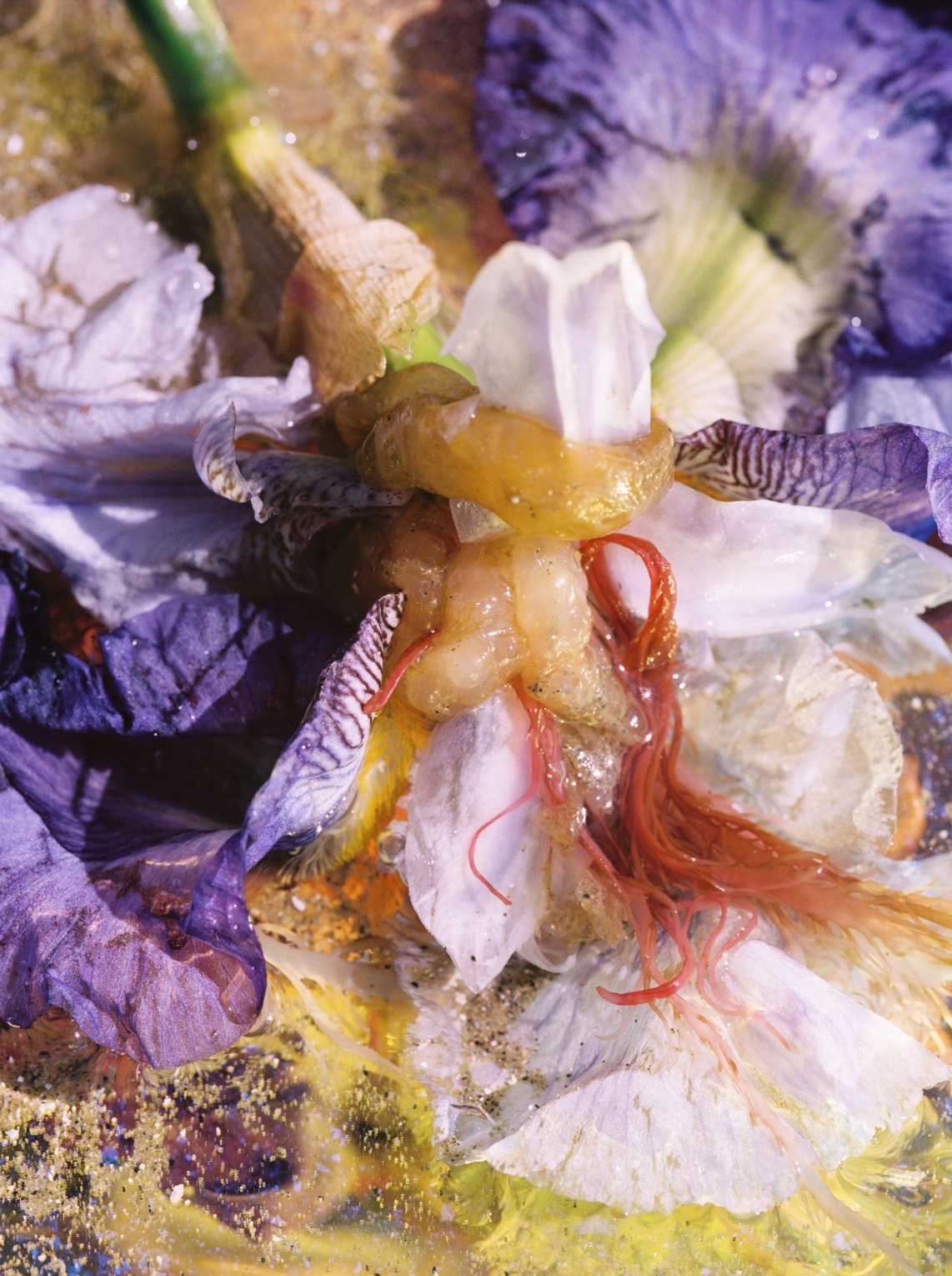 partie-humide-iii_lucile-boiron