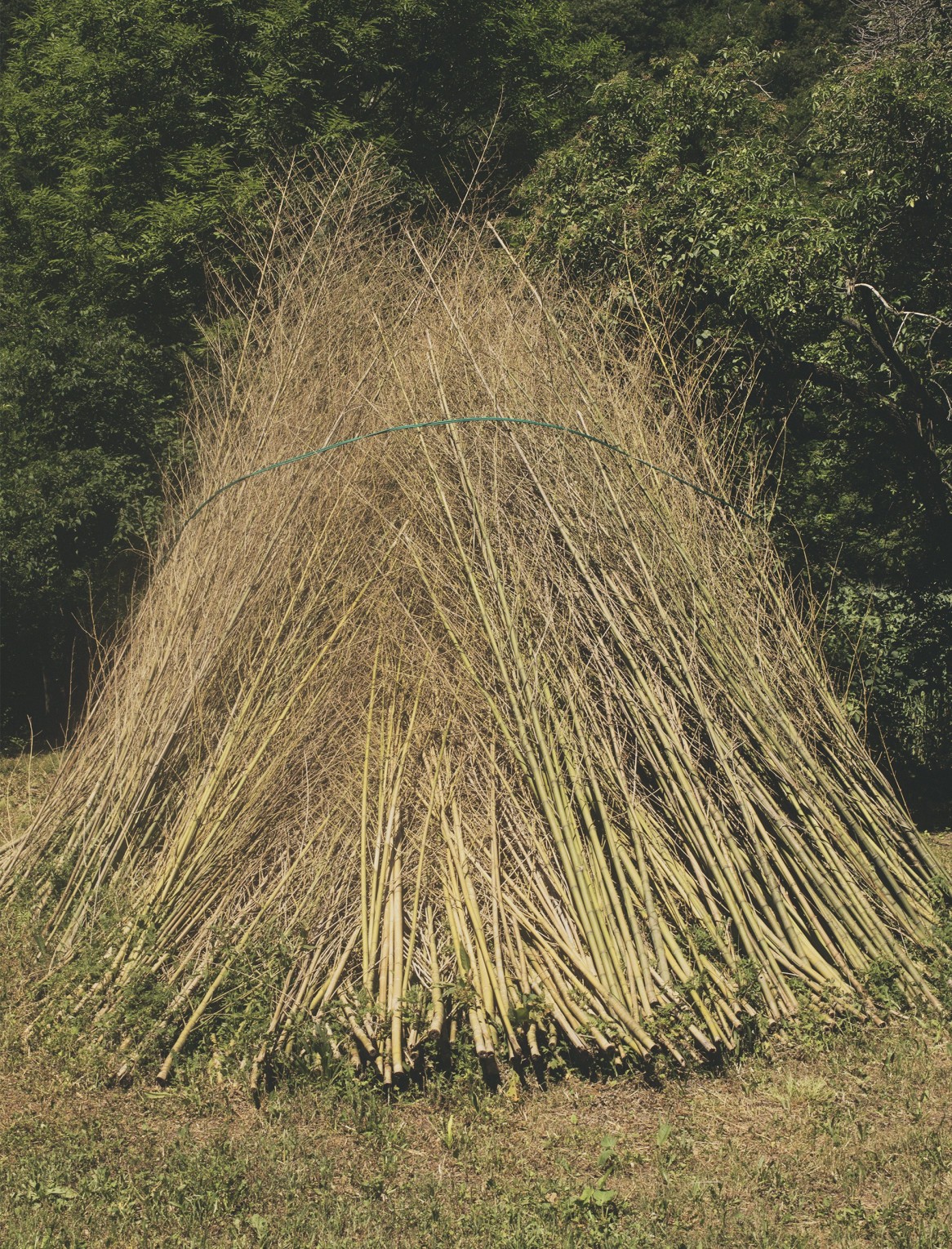 presque-rien-etude-45_jean-francois-robert